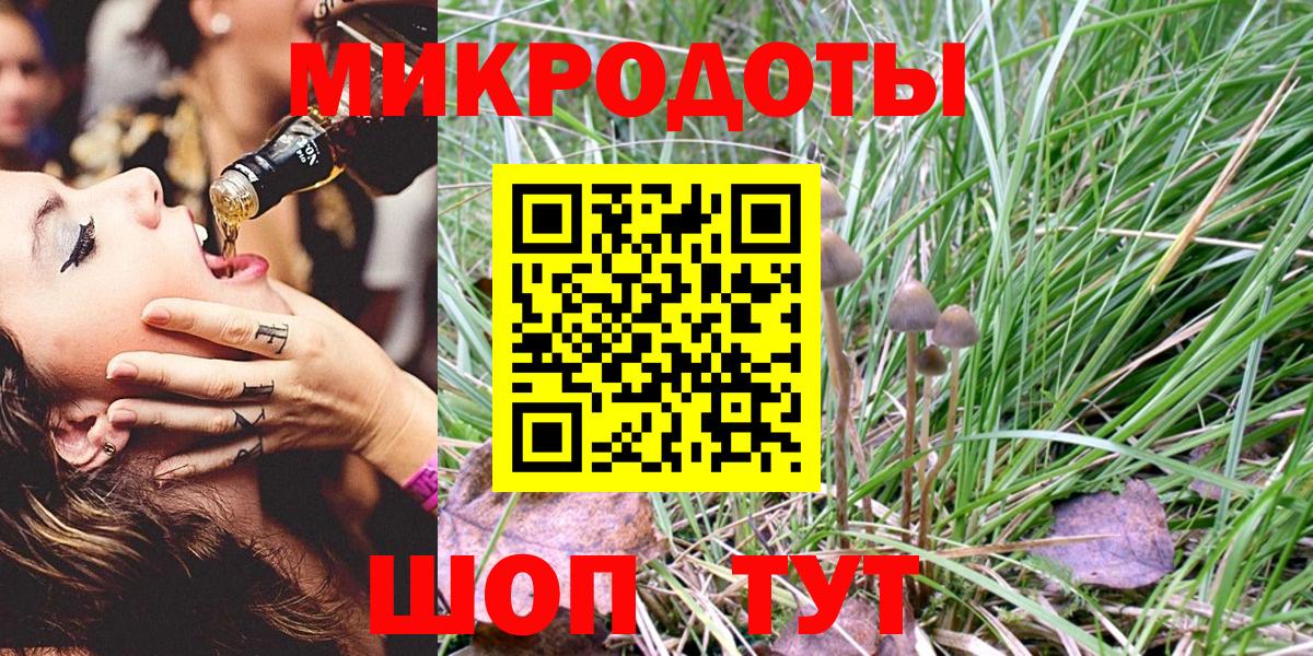 Псилоцибиновые грибы Psilocybe  Вход с VPN  Михайловск  Галлюциногенные грибы Psilocybine cubensis 