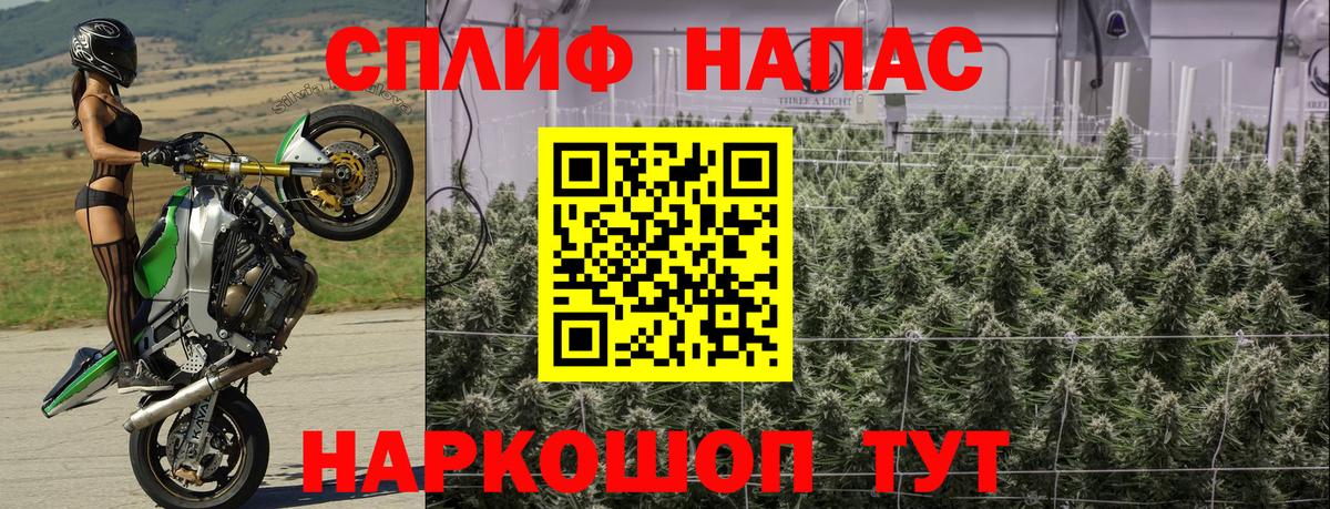 Бошки марихуана Ganja Михайловск